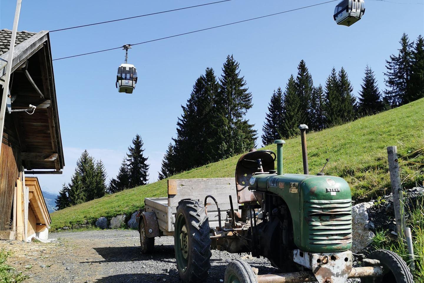 Wanderpfad auf der Alm